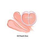 رژگونه پودری و کرمی گالر گرام Colorgram Tintin Dory Duo Blusher